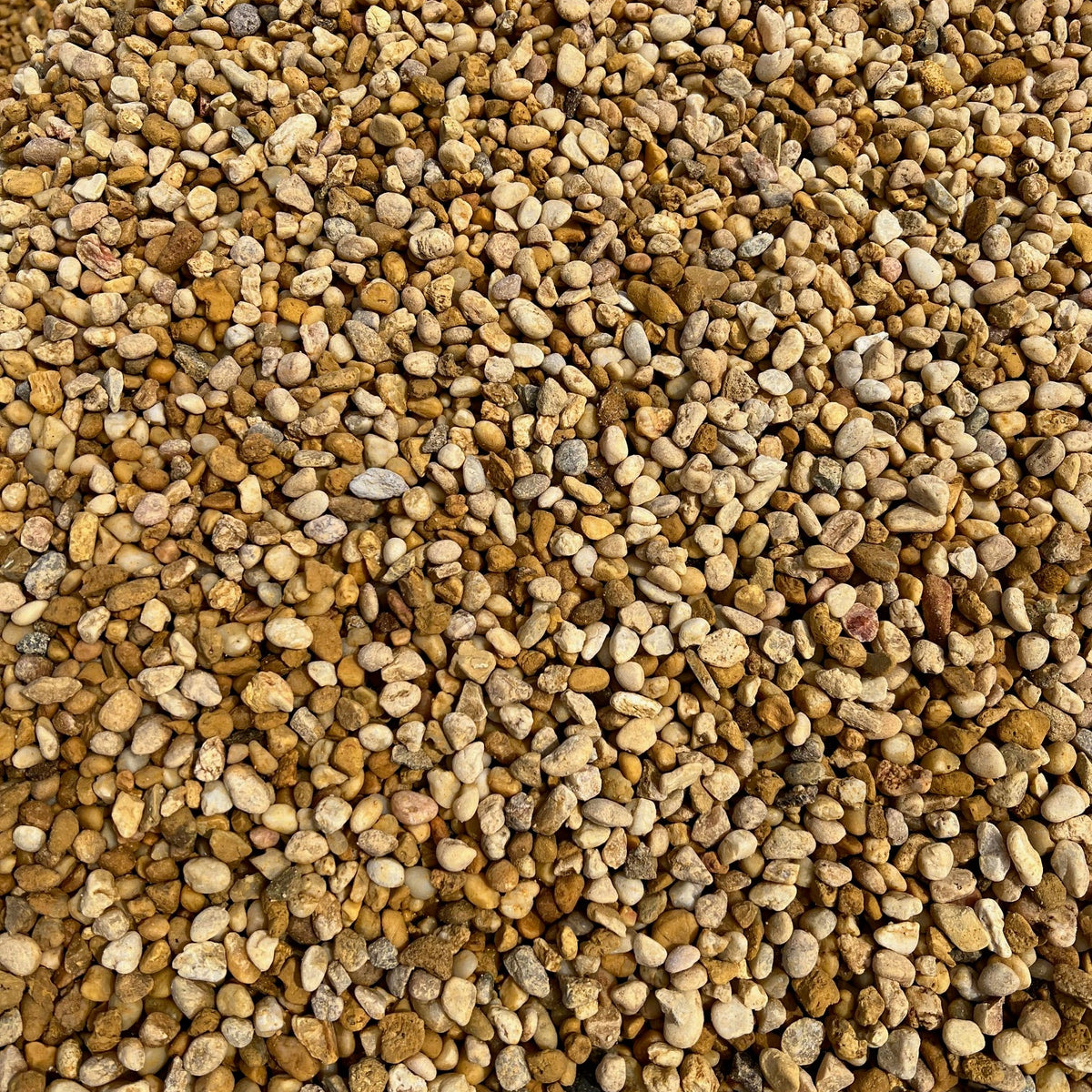 IMG_6502_1200x1200.jpg?v=