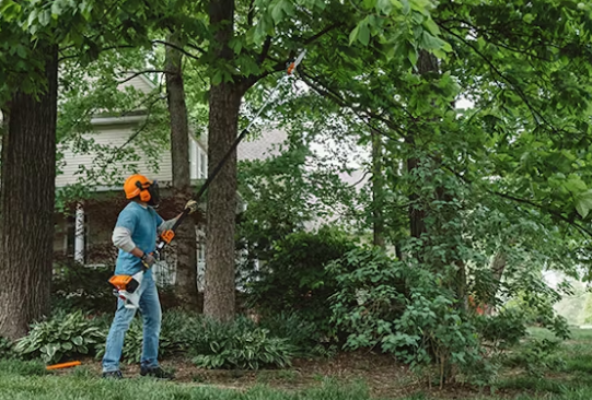 Ht131 stihl clearance pole saw