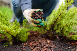 Mulch Madness from Peach Country Tractor