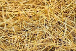 Premium Garden Straw (4 LBS) - Straw Mulch That is Designed for Use in Compost Beds, Gardens, Pet Bedding, Lawns and Much More. by Home and Country USA