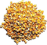 Whole Corn Kernels -Superior Feed Corn for Wildlife - Including Deer, Turkeys, Squirrels, Birds and More! Attract a Multitude of Species with One Highly Nutritional Option