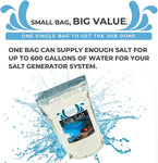 Dive Rite In Hot Tub Salt and Spa Salt for All Salt Water Sanitizing Systems and Chlorine Generators Including Hotspring, Jacuzzi, Caldera, and Chloromatic - 8 Pounds