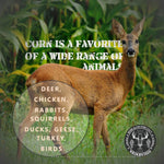 Whole Corn Kernels -Superior Feed Corn for Wildlife - Including Deer, Turkeys, Squirrels, Birds and More! Attract a Multitude of Species with One Highly Nutritional Option