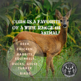 Whole Corn Kernels -Superior Feed Corn for Wildlife - Including Deer, Turkeys, Squirrels, Birds and More! Attract a Multitude of Species with One Highly Nutritional Option