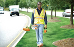 Stihl FS 70R String Trimmer