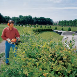 Stihl HS 45 Hedge Trimmer