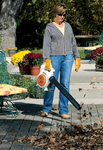 Stihl BG 56 C Hand Held Blower