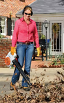 Stihl BG 56 C Hand Held Blower
