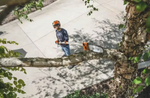 Stihl HT 135 Pole Saw
