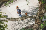 Stihl HT 135 Pole Saw