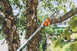 Stihl HT 135 Pole Saw