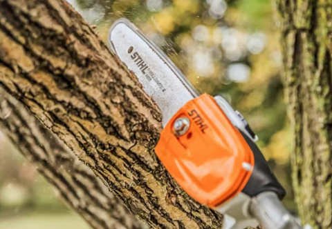 Stihl HT 56 C E Pole Saw Peach Country Tractor