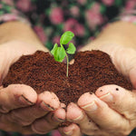 Home and Country USA Coconut Fiber Compressed Coco Coir Brick. Great to use as a Compost Starter for Your Home Garden.