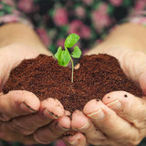 Home and Country USA Coconut Fiber Compressed Coco Coir Brick. Great to use as a Compost Starter for Your Home Garden.