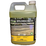 Alliance Gator Clean Efflorescence Cleaner 1 Gal for Pavers & Natural Stone