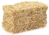 All Natural Full Size Bale of Straw : 35" x 19" 12" For: Autumn Fall Decorations, Bedding, Over Seeding,