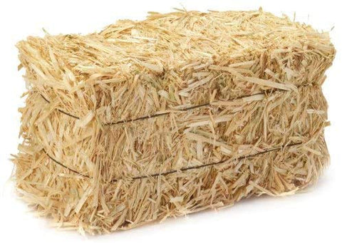 All Natural Full Size Bale of Straw : 35" x 19" 12" For: Autumn Fall Decorations, Bedding, Over Seeding,